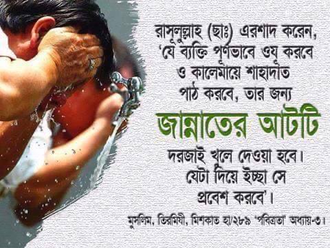 ইসলামিক ছবি