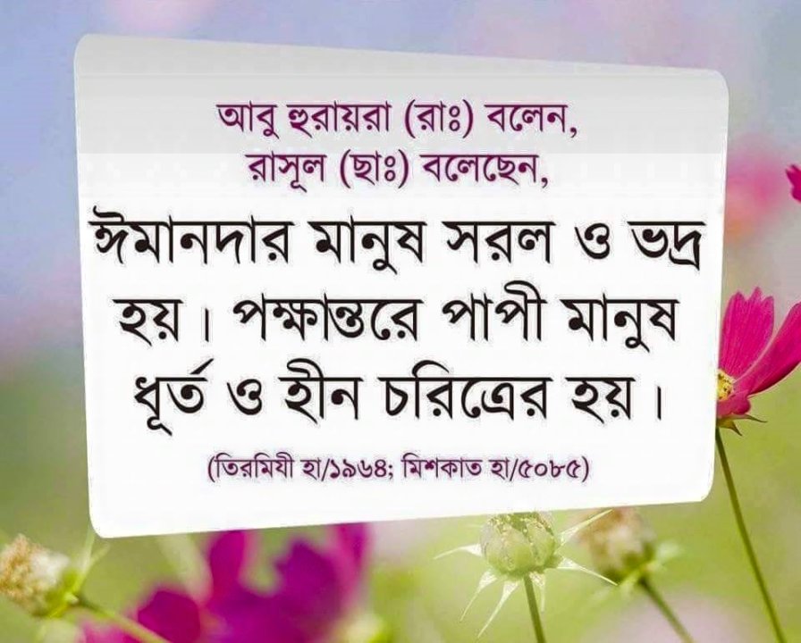 ইসলামিক ছবি