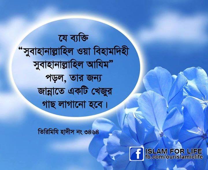 ইসলামিক পিকচার