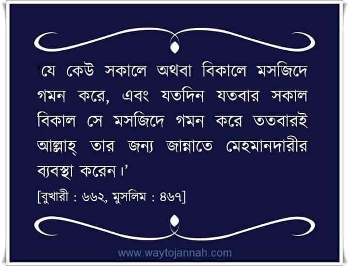 ইসলামিক পিকচার